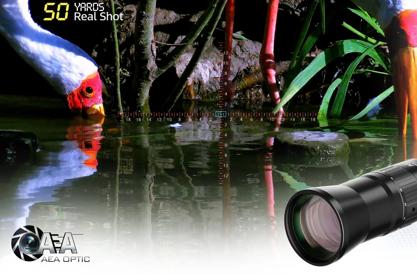 CHASE LIGHT D 50-yard real-shot view with digital reticle